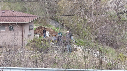 Winton Rain Garden (13)